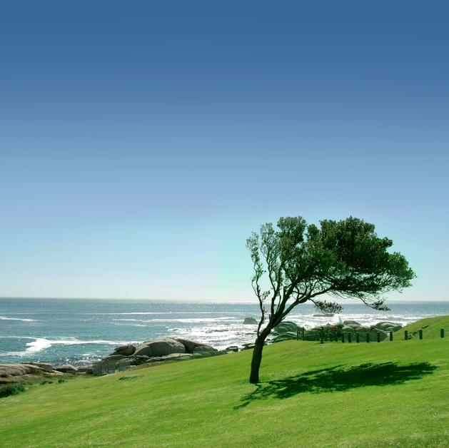Viento Viento