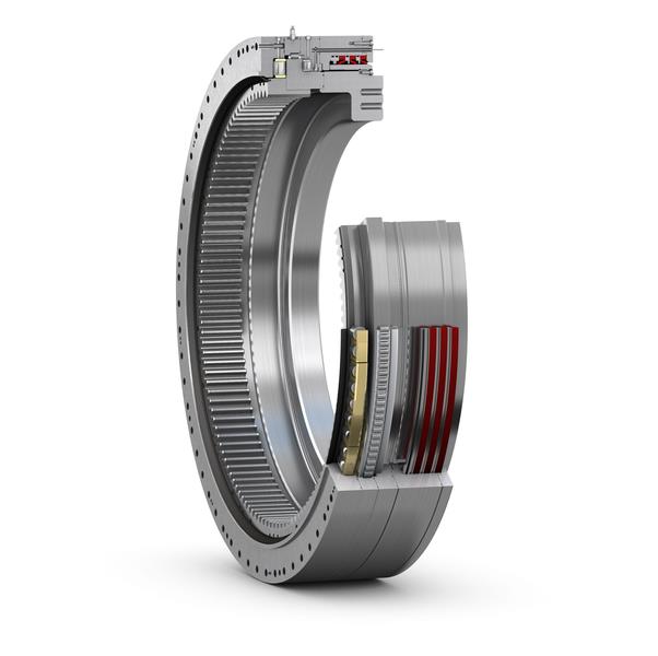 Slewing bearing cut-away