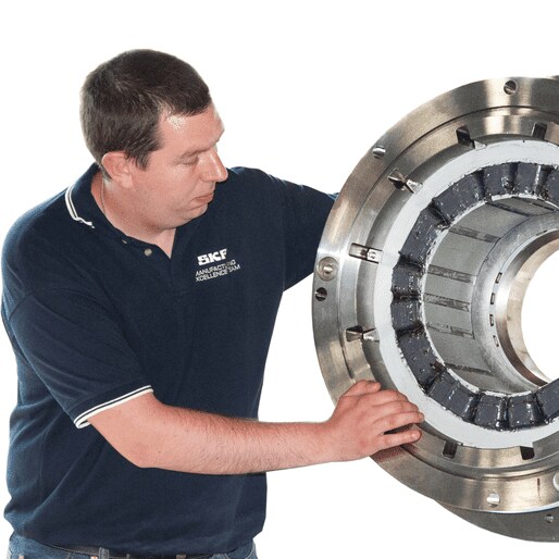 SKF Mechatronics Vernon