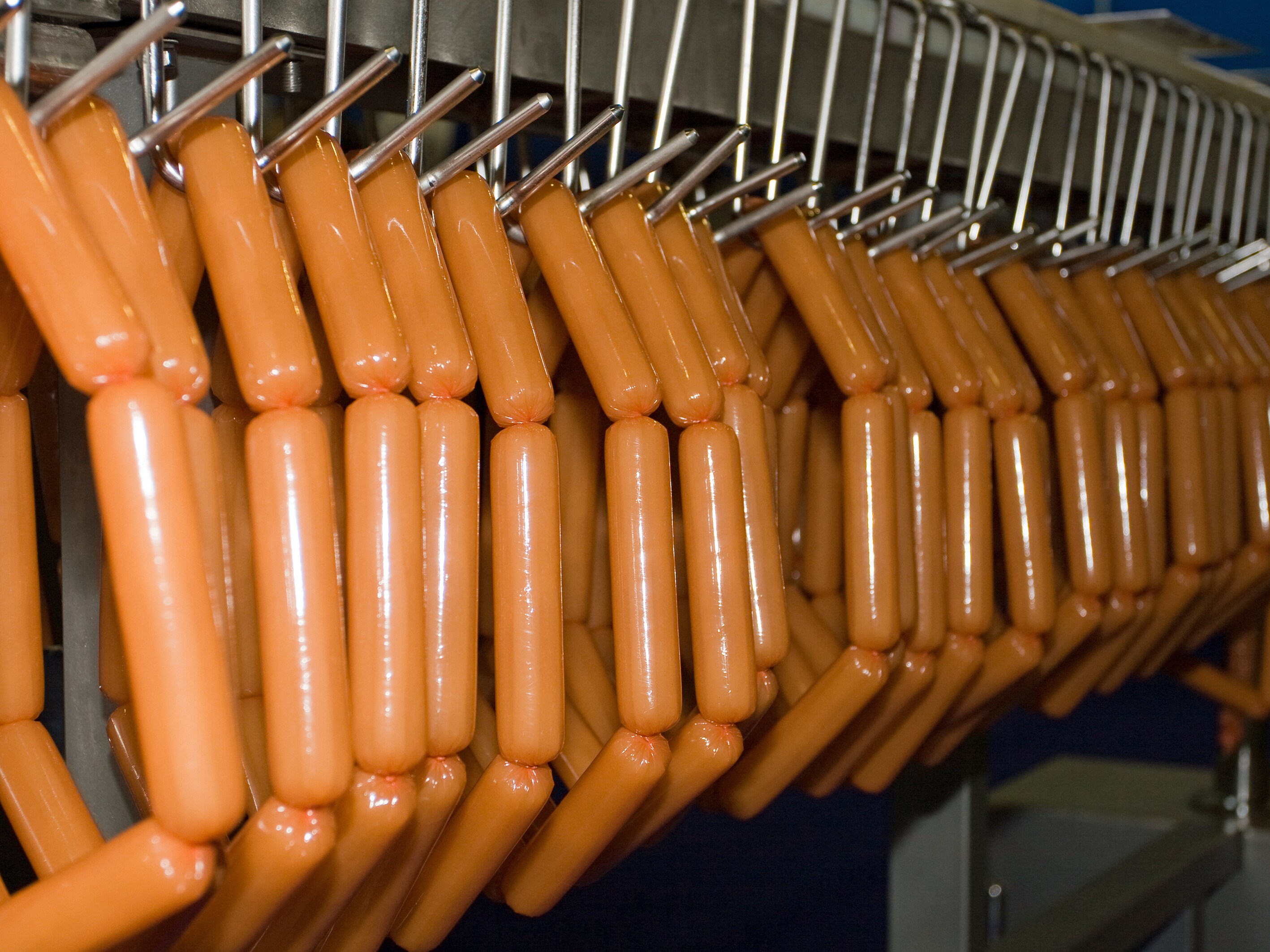20191016_SKF_Hygiene_nicht_Wurst_1 20191016_SKF_Hygiene_nicht_Wurst_1