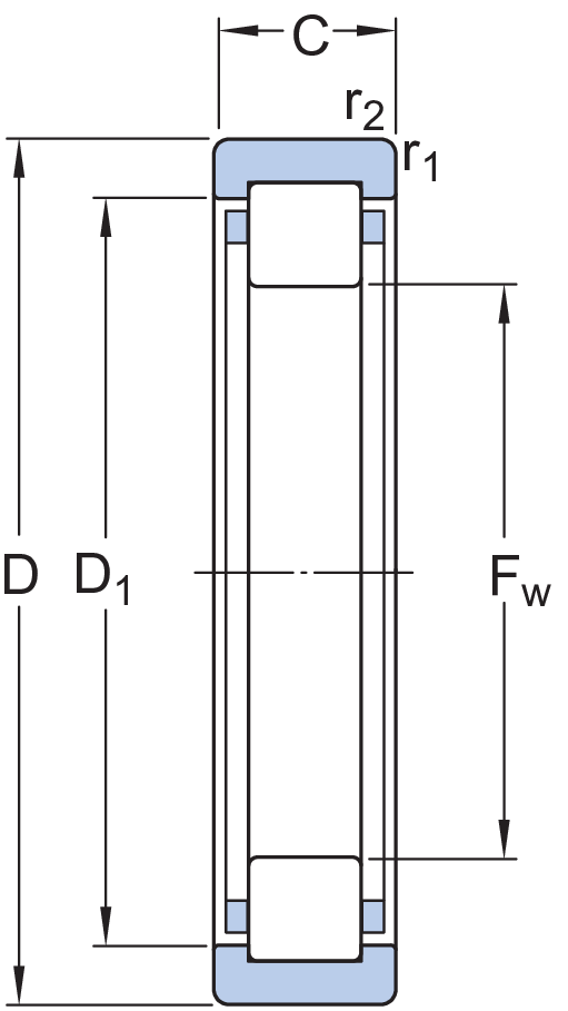 RNU 202 ECP RODAMIENTO - Imagen 2